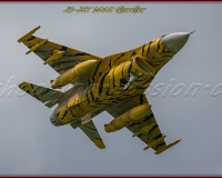 1GLOVELIER 0843